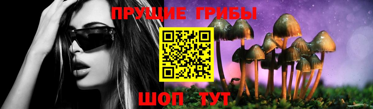 Галлюциногенные грибы GOLDEN TEACHER  Галлюциногенные грибы Cubensis  Чистополь  Вход с VPN 